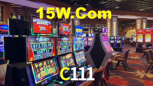 Premium Interface C111